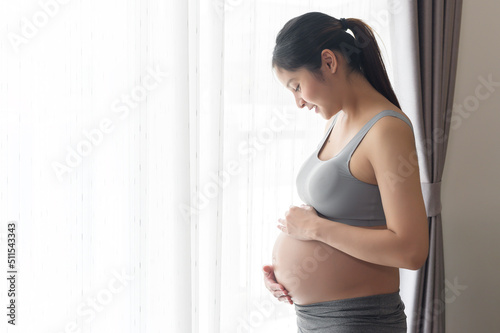 Young beautiful pregnant woman at home, maternity and pregnancy care concept Free Download Young beautiful pregnant woman at home, maternity and pregnancy care concept - GFXLoad
