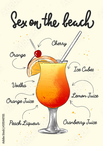 Vector engraved style Sex On The Beach cocktail illustration for posters, decoration, logo and print. Hand drawn sketch with lettering and recipe, beverage ingredients. Detailed colorful drawing.