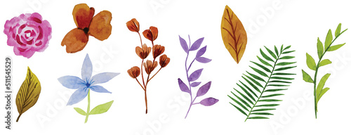 Watercolor painting of flowers and leaves in nature,watercolor background,2d illustration