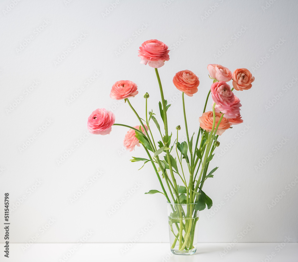 Coral ranunculus in a vase on a light background Coral ranunculus in a vase on a light background