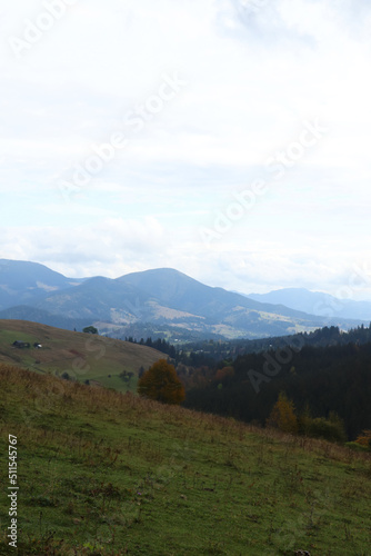 Beautiful mountain landscape with conifer forest and green hills