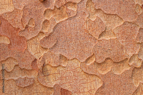 This picture of a tree with jagged, yellow clouds can be used as a background, it's not all about fun.
