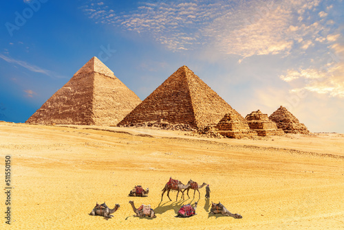 Pyramids of Giza in the desert of Egypt and amel caravan resting nearby