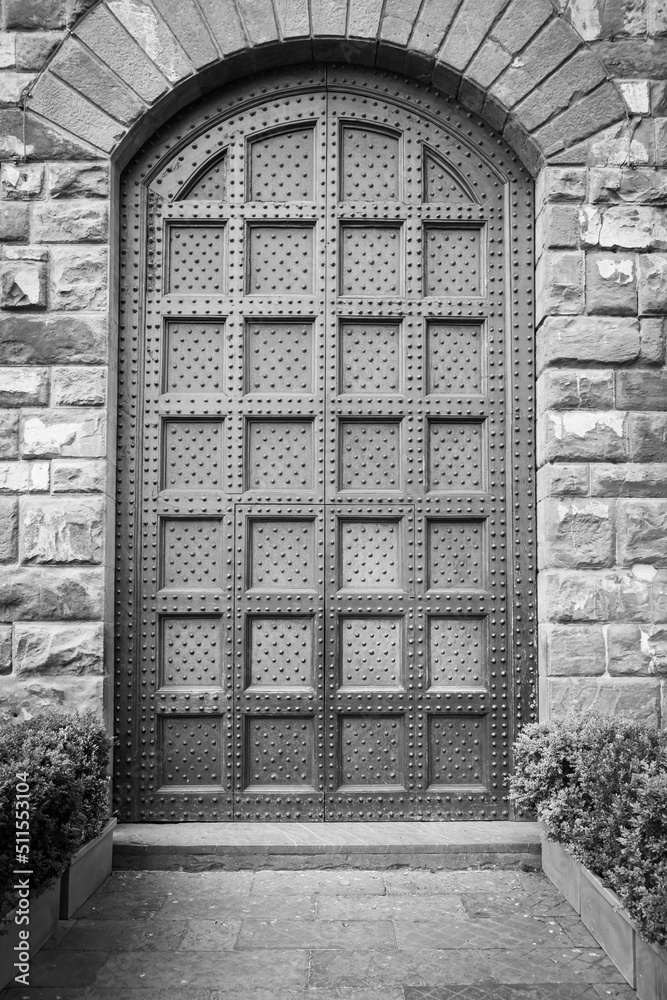 Antique door in historical building - Concept of security, mystery, grunge.