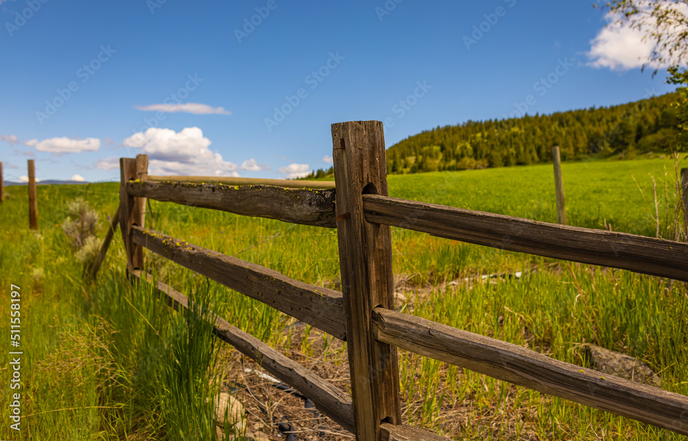 Rural summer scene in countryside. Typical wooden fence in farmland. Country Farm with brown fence in summer day.