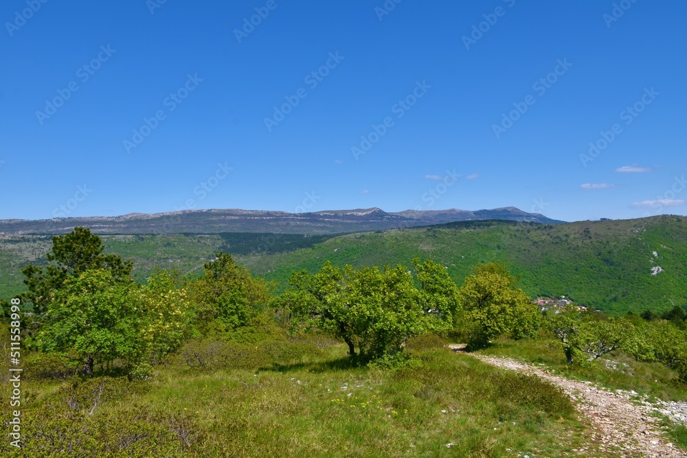 Obraz premium Scenic view of mountains and hills in Istria in Slovenia and a meadow with low growing mediterranean trees near Socerga