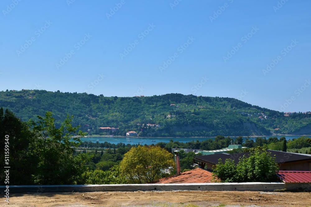 Hills above Strunjan bay in the Adriatic sea in Istria, Primorska Slovenia