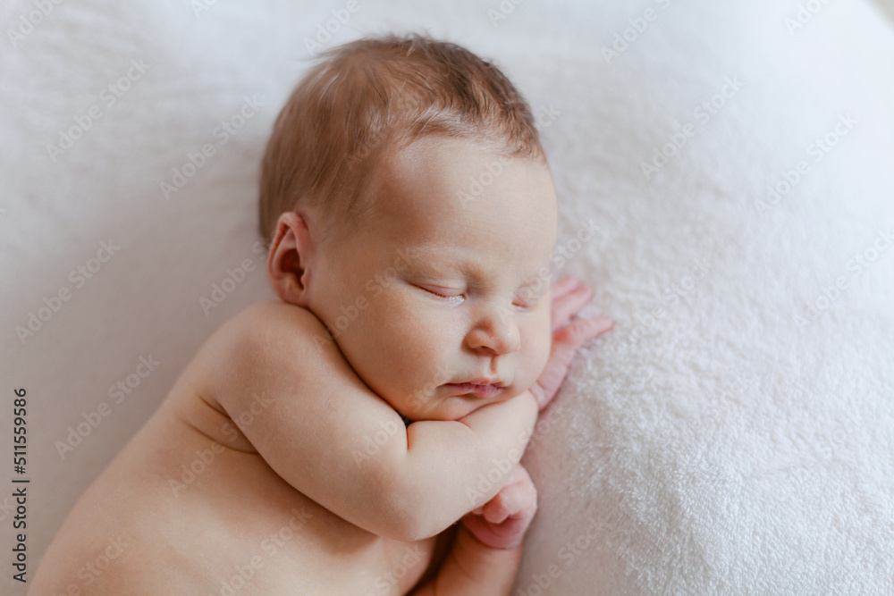 Sleeping newborn baby girl with a dog Sleeping newborn baby girl with a dog