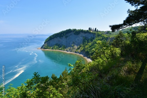 Scenic view of the Moon bay on the coast of the Adriatic sea at Strunjan in Istria, Slovenia with typical mediterranean vegetation