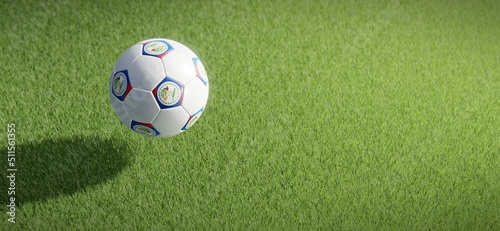 Football or soccer ball design with flag of Belize against grass pitch backdrop. 3D rendering