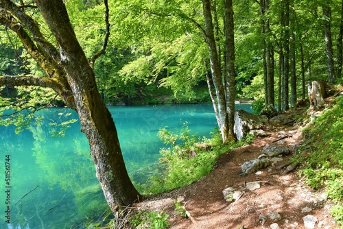 Hiking trail on the shore of Laghi di Fusine Inferiore in commune di Tarvisio, Italy with the lake in turquoise color © kato08