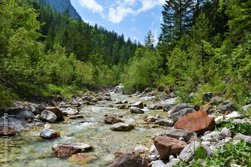 Alpine stream in valle Riofreddo in Comune di Tarvisio in Italy with broafleaf forest on the banks and coniferous forest above photo