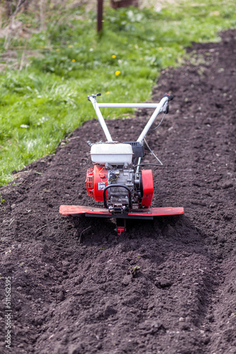 Red cultivator cultivates a vegetable garden for planting vegetables and potatoes. tractor motoblock works in the field at sunset. cultivates the soil. photo