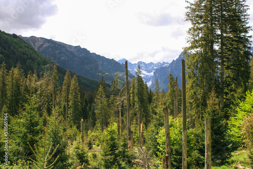 Piękny widok z gór w Polsce, Zakopane