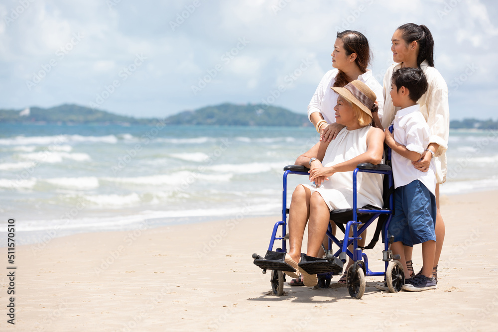 disabled senior woman in a wheelchair with family and looking to something on the beach
