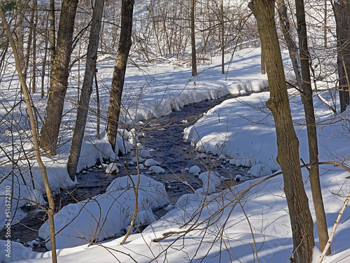 Creek through the Winter forest in Mont Saint Bruno national park, Quebec photo