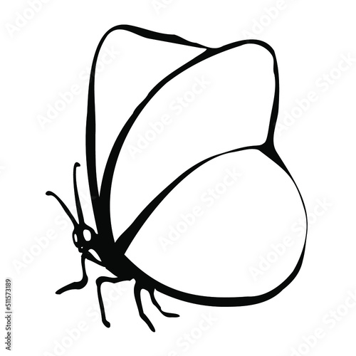 Beautiful bright decorative butterfly isolated on white Isolated vector image.