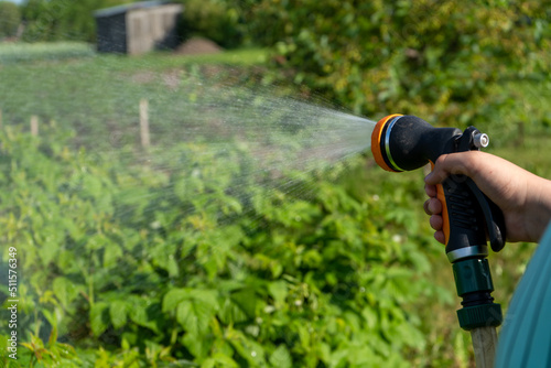 Hand holding a watering hose. Watering a plants gardening care concep.