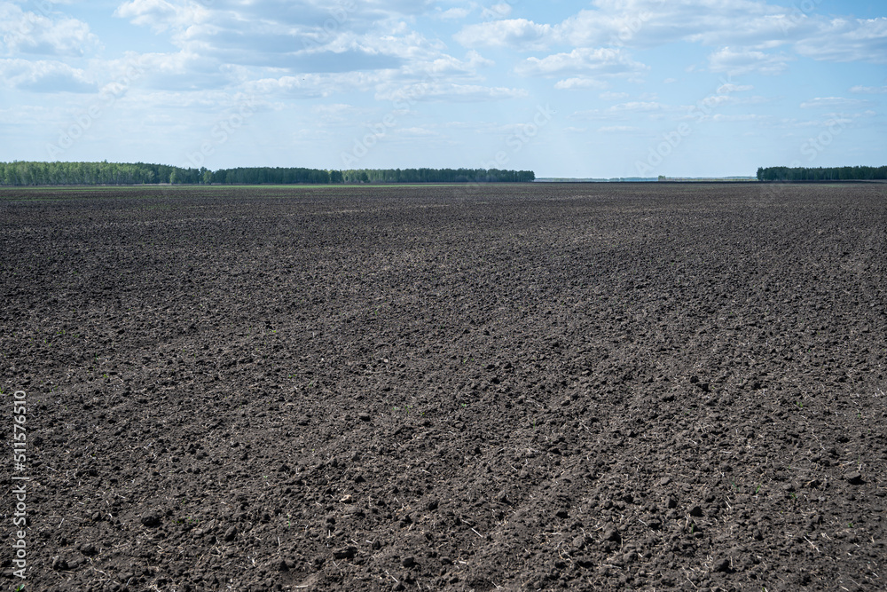 Plowed land, wheat sowing, large field Plowed land, wheat sowing, large field