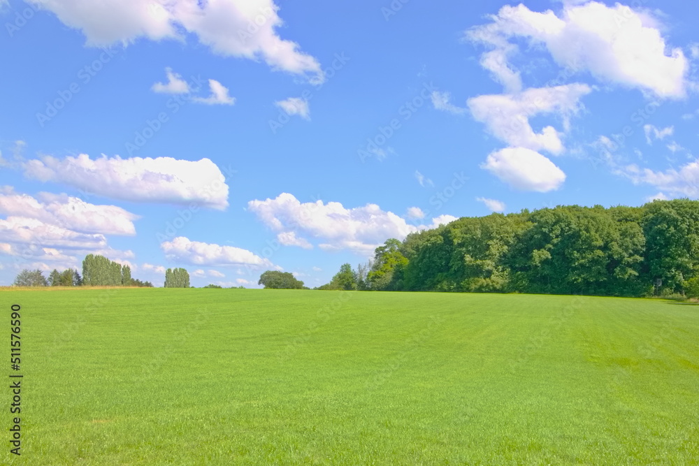 Landschaft grüne Wiese blauer Himmel Wolken Sonne Sommer grün Entspannung weiter Landschaft 