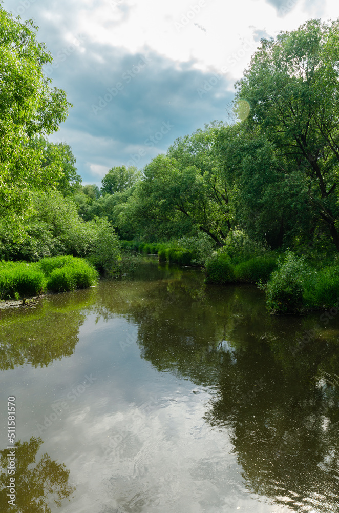 river in the forest