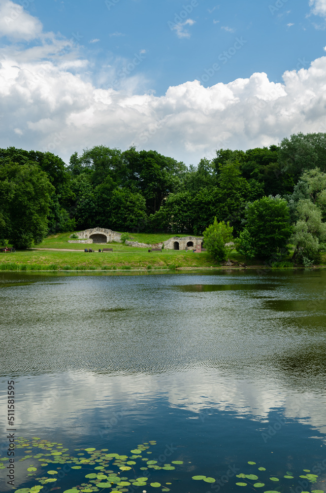 Fototapeta premium lake in the forest