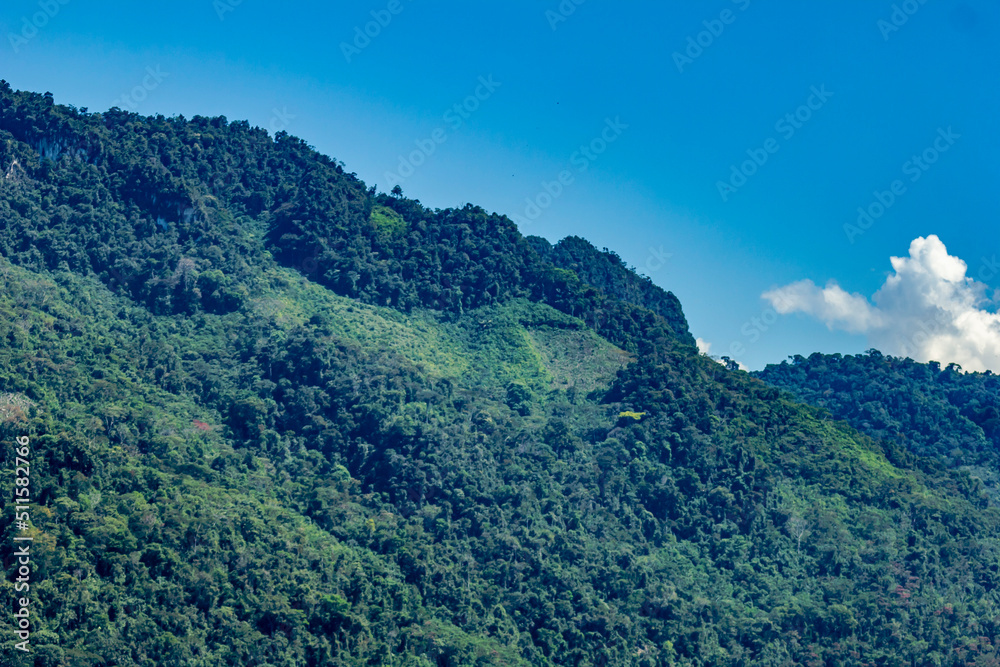 montañas de arboles en la selva peruana de tingo maria 2022