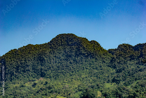 montañas de arboles en la selva peruana de tingo maria 2022