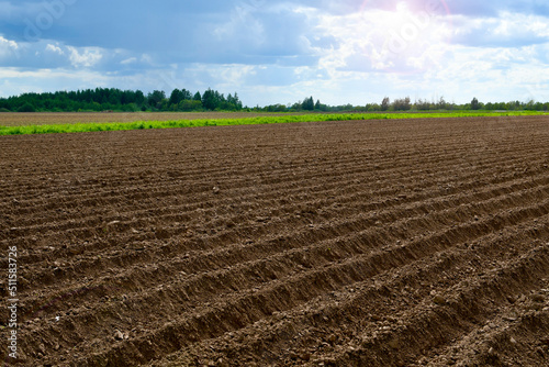Plowed field before sowing. Agriculture. Field preparation. Brown earth. Small ridges. Field going to the horizon.
