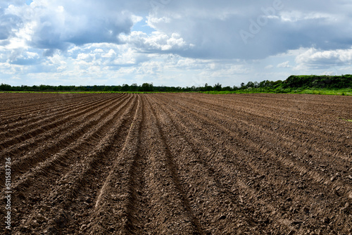 Plowed field before sowing. Agriculture. Field preparation. Brown earth. Small ridges. Field going to the horizon.