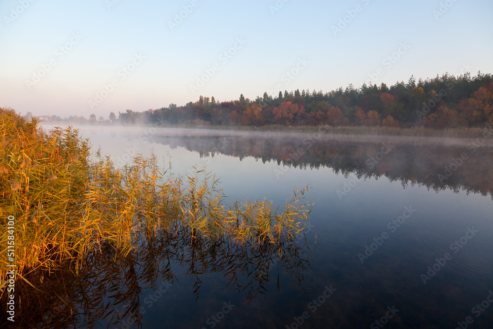 Misty autumn morning over calm river, yellow reeds in sunlight, foresst in fog. Ukraine, peace.