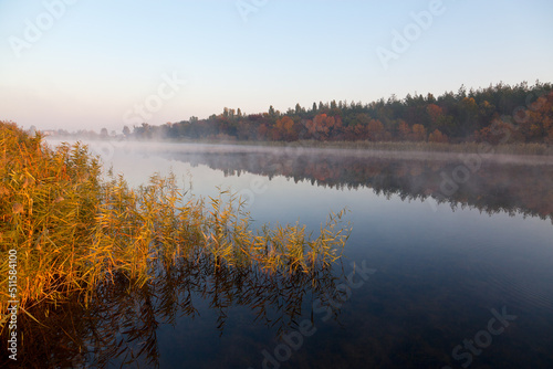 Misty autumn morning over calm river, yellow reeds in sunlight, foresst in fog. Ukraine, peace. photo