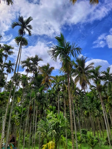 Natural South India