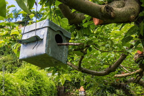caja nido para pájaros en el árbol