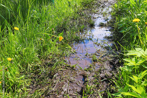Flooded path in the garden after a heavy summer rain