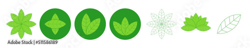 Set of icons with green leaves for natural cosmetics or other healthy themes. photo