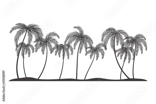 Palm trees on the beach silhouette