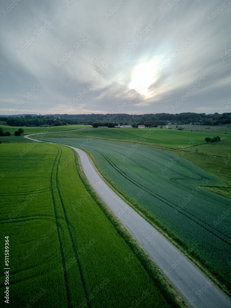 Late sunset over field