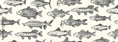Seamless vector banner with sketch illustrations of sea fish. Salmon, mackerel, tuna, catfish, carp, pike outline sihouettes on white background. Black engraving. Hand drawn underwater life pattern