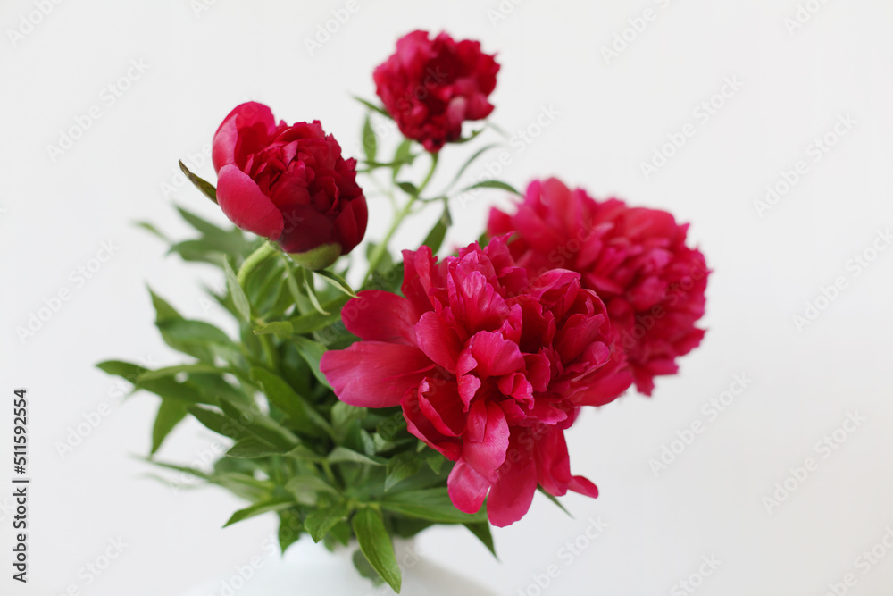 Red peony flower bouquet in white vase on gray. Minimalist still life. Light Nature horizontal background. Red peony flower bouquet in white vase on gray. Minimalist still life. Light Nature horizontal background.