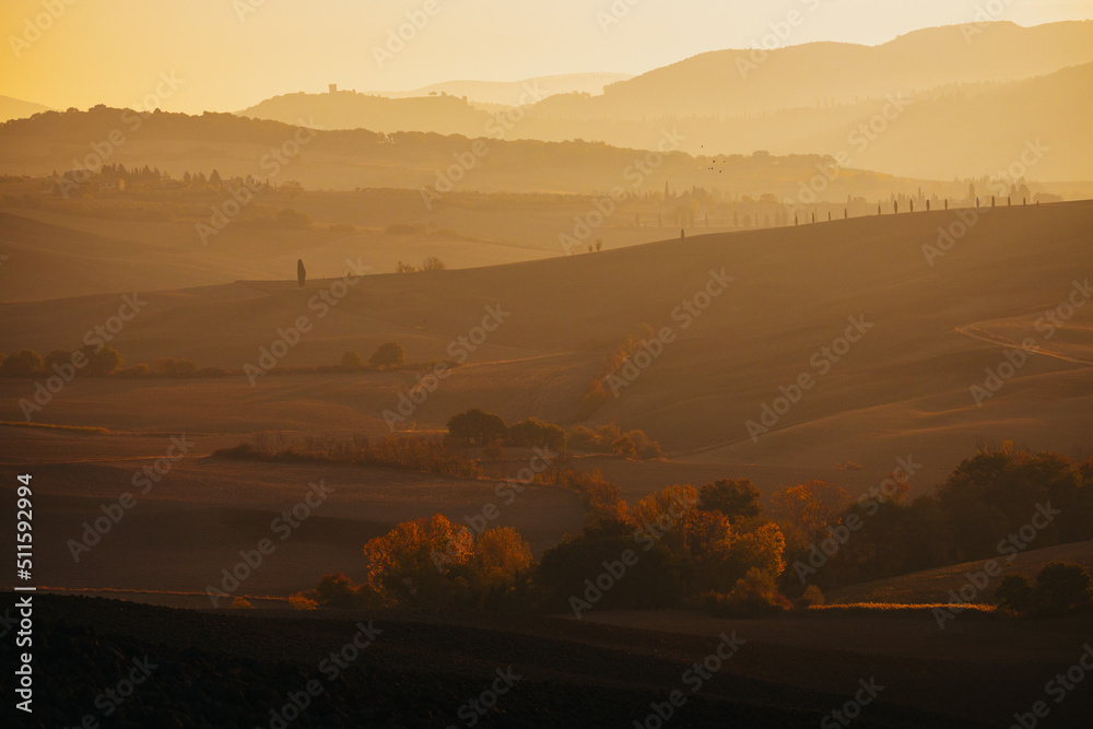 custom made wallpaper toronto digitalLandscape in Italy in the Tuscany region captured at sunrise. Photographed at the end of October, so the landscape is colored in autumn orange. The landscape is typical for its waves and cypress trees