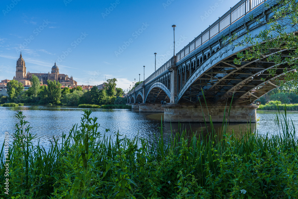 Fototapeta premium Rio Tormes and Cathedral of the city of Salamanca in Spain.