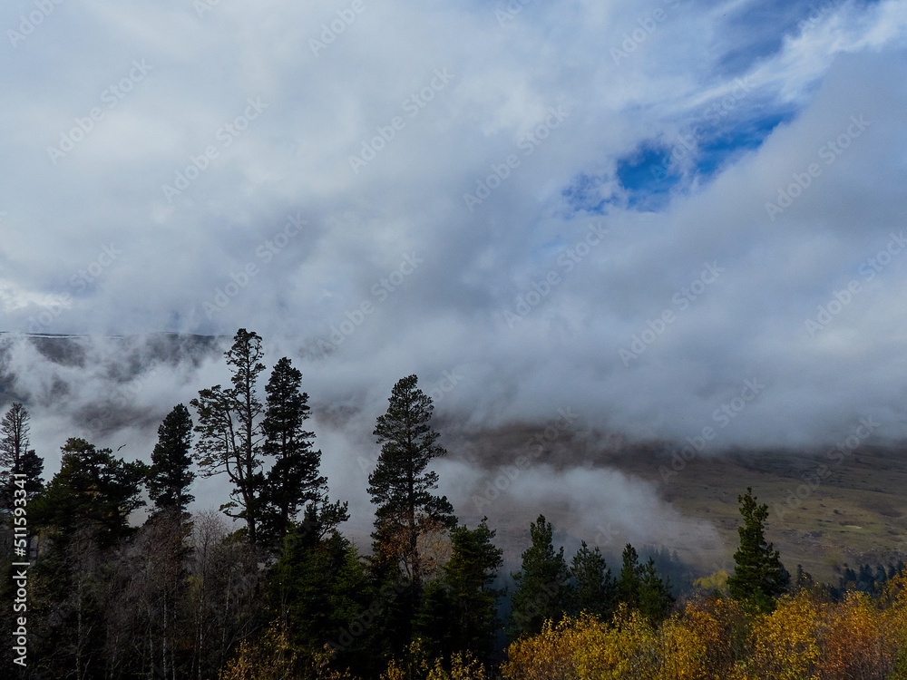 Autumn forest in the mountains. Autumn forest in the mountains.