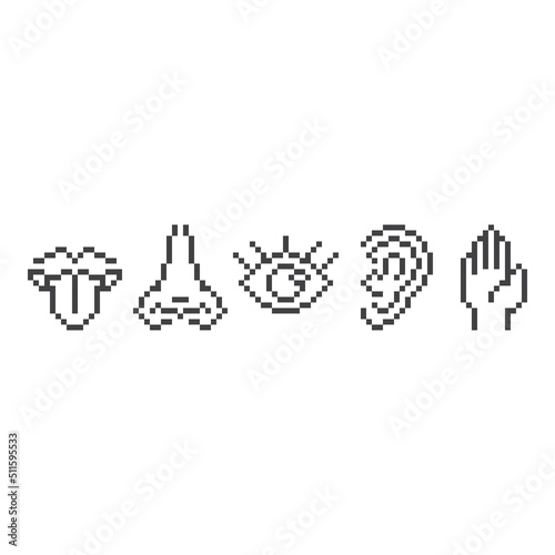 Five human senses. Elements taste, smell, vision, hear, touch . Pixel art line icon vector illustration