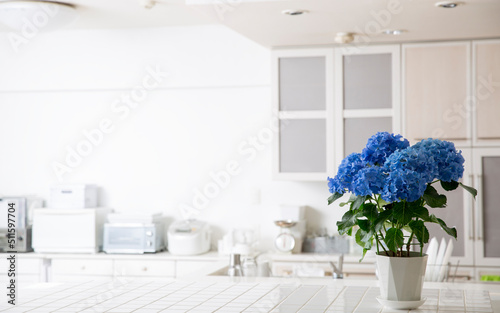 キッチンの背景、インテリア、花、紫陽花、タイルのテーブル、明るいキッチン Fototapet