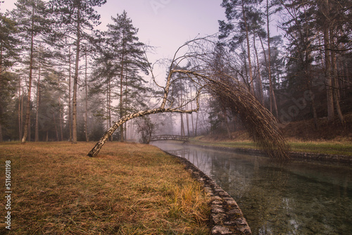 Autumn mist by the lake in Sobec, Slovenia. Mystical atmosphere by the lake.  photo