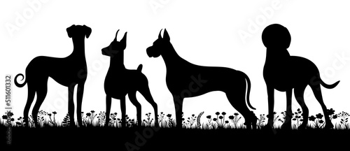 dogs on grass silhouette on white background, isolated, vector