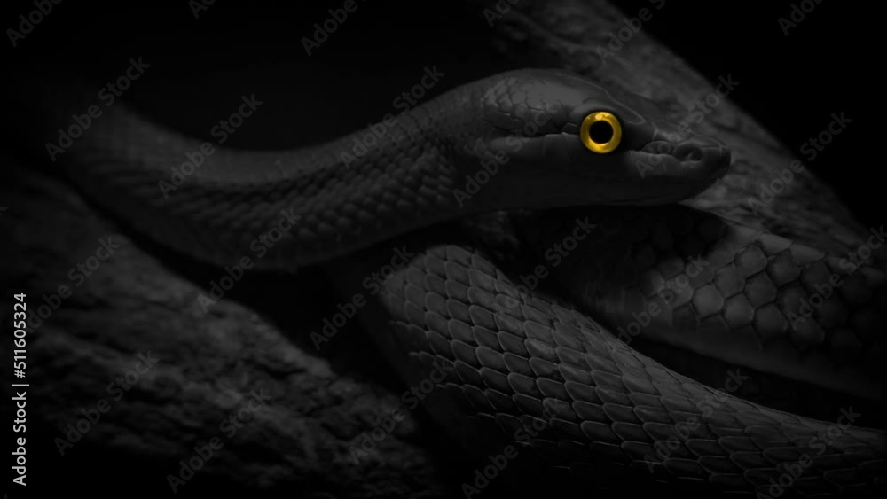 Snake On Tree Monochrome With Glowing Eye