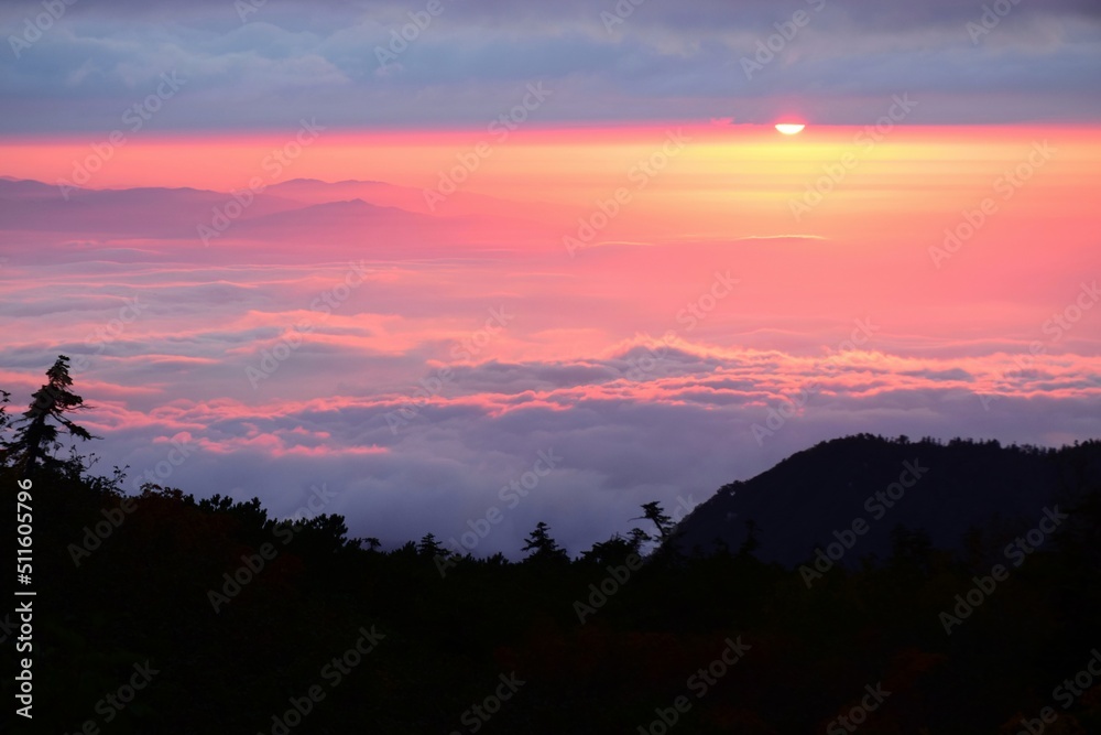Fototapeta premium 雲海に沈む夕日