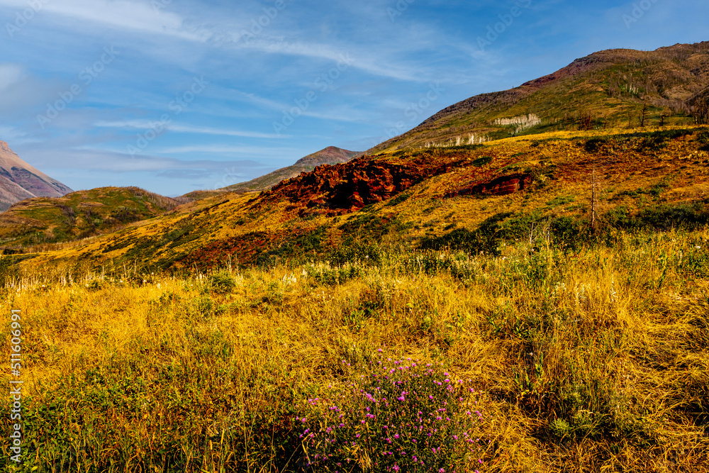 Naklejka premium Red Rock Pky Waterton Lakes National Park Alberta Canada